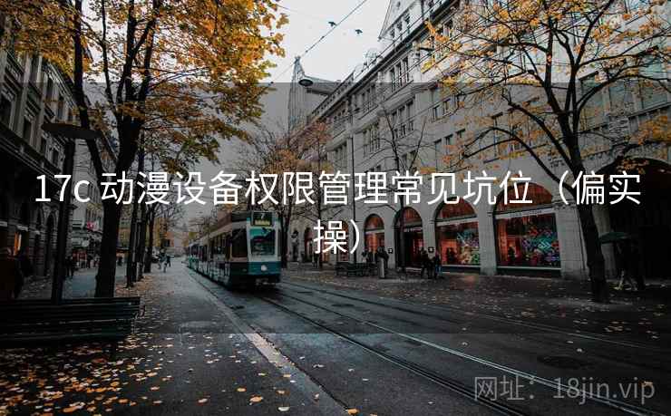 17c 动漫设备权限管理常见坑位（偏实操）