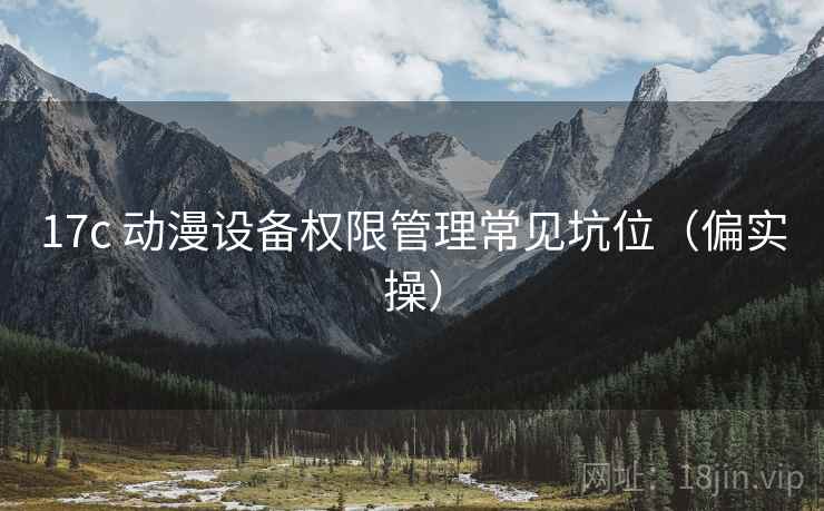 17c 动漫设备权限管理常见坑位（偏实操）
