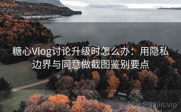 糖心Vlog讨论升级时怎么办：用隐私边界与同意做截图鉴别要点